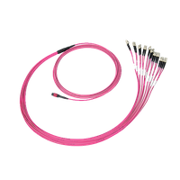 SpiderLINE MTP EasyCONNECT