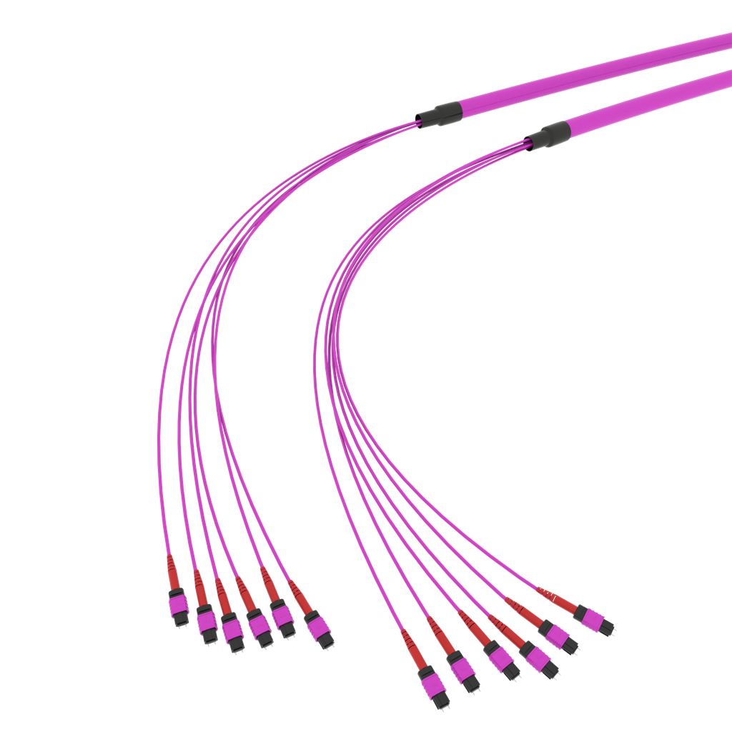 SpiderLINE MTP EasyCONNECT