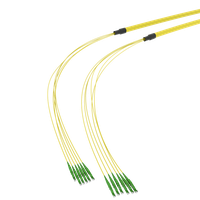 SpiderLINE BC