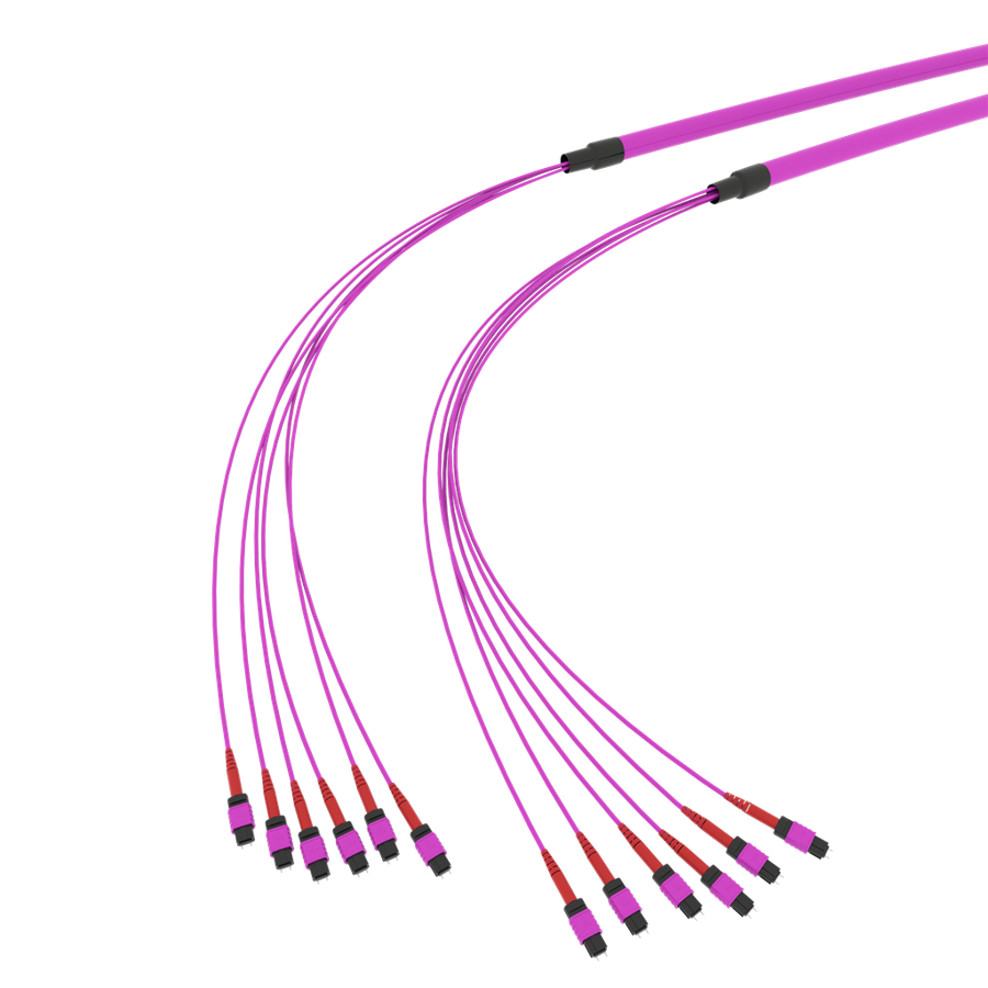 SpiderLINE MTP EasyCONNECT