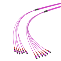 SpiderLINE MTP EasyCONNECT