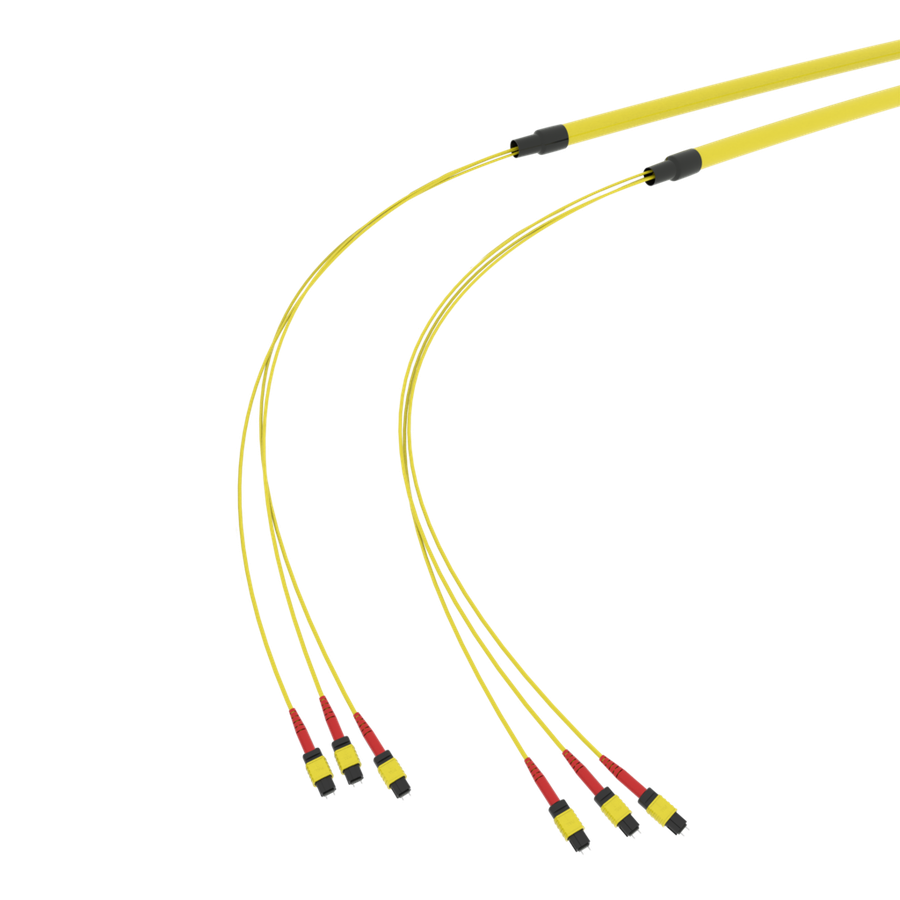 SpiderLINE MTP EasyCONNECT