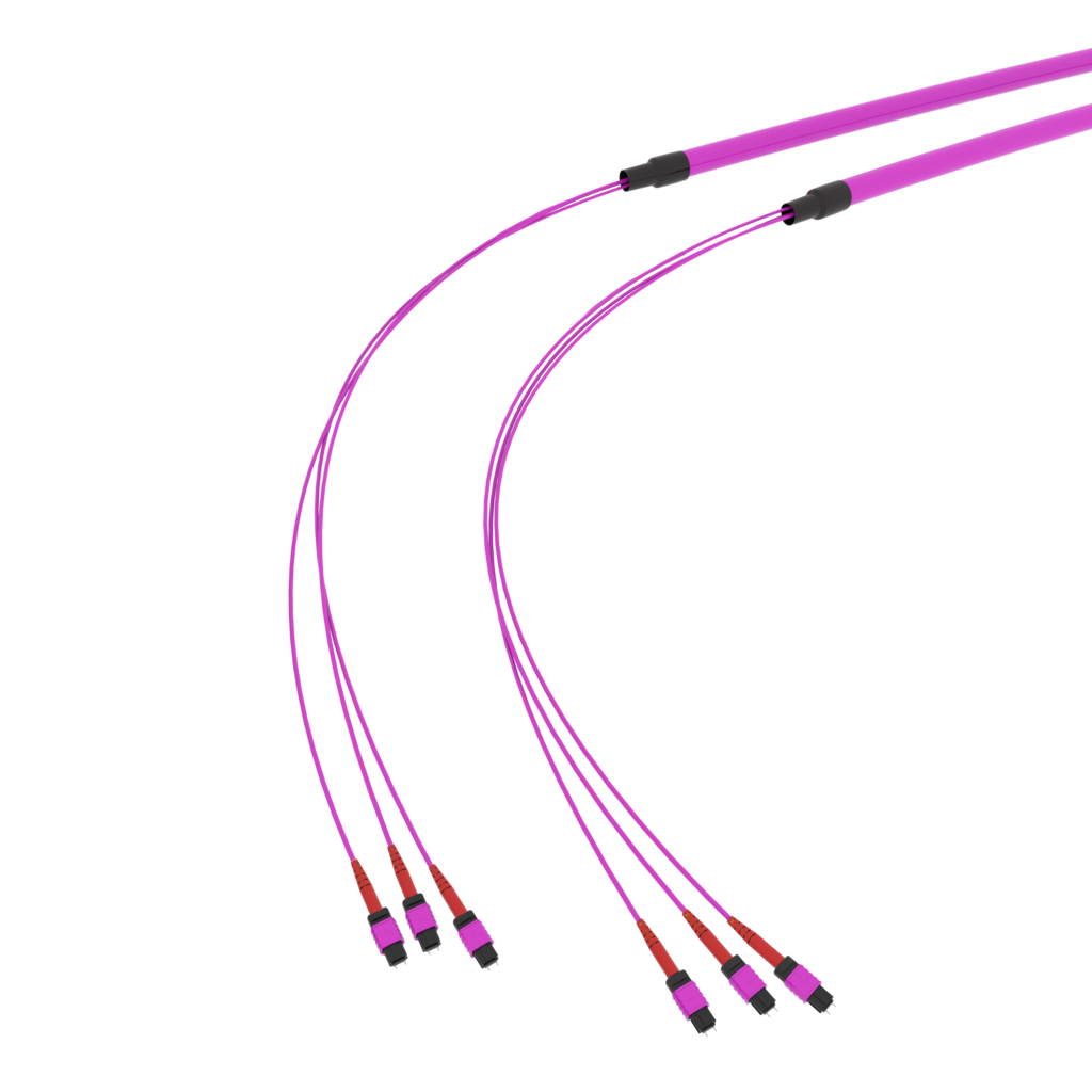SpiderLINE MTP EasyCONNECT