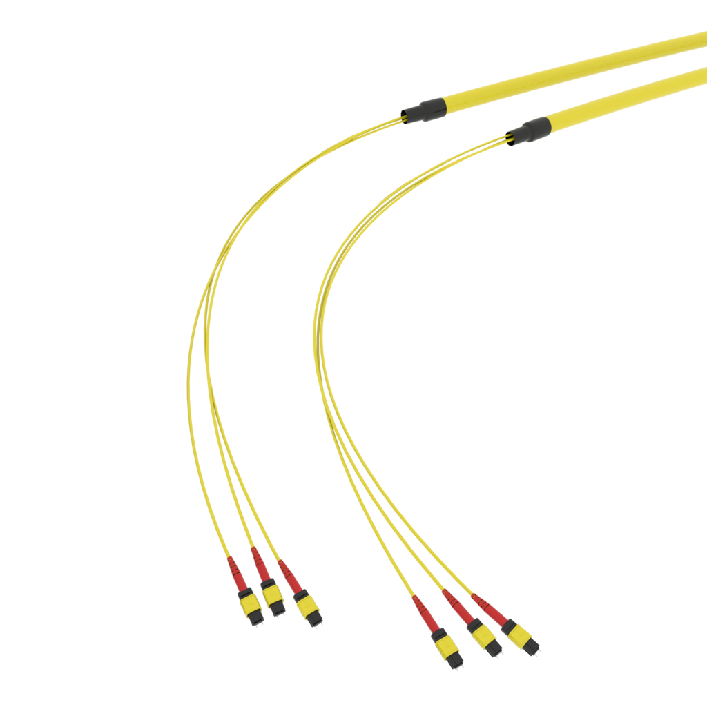 SpiderLINE MTP EasyCONNECT