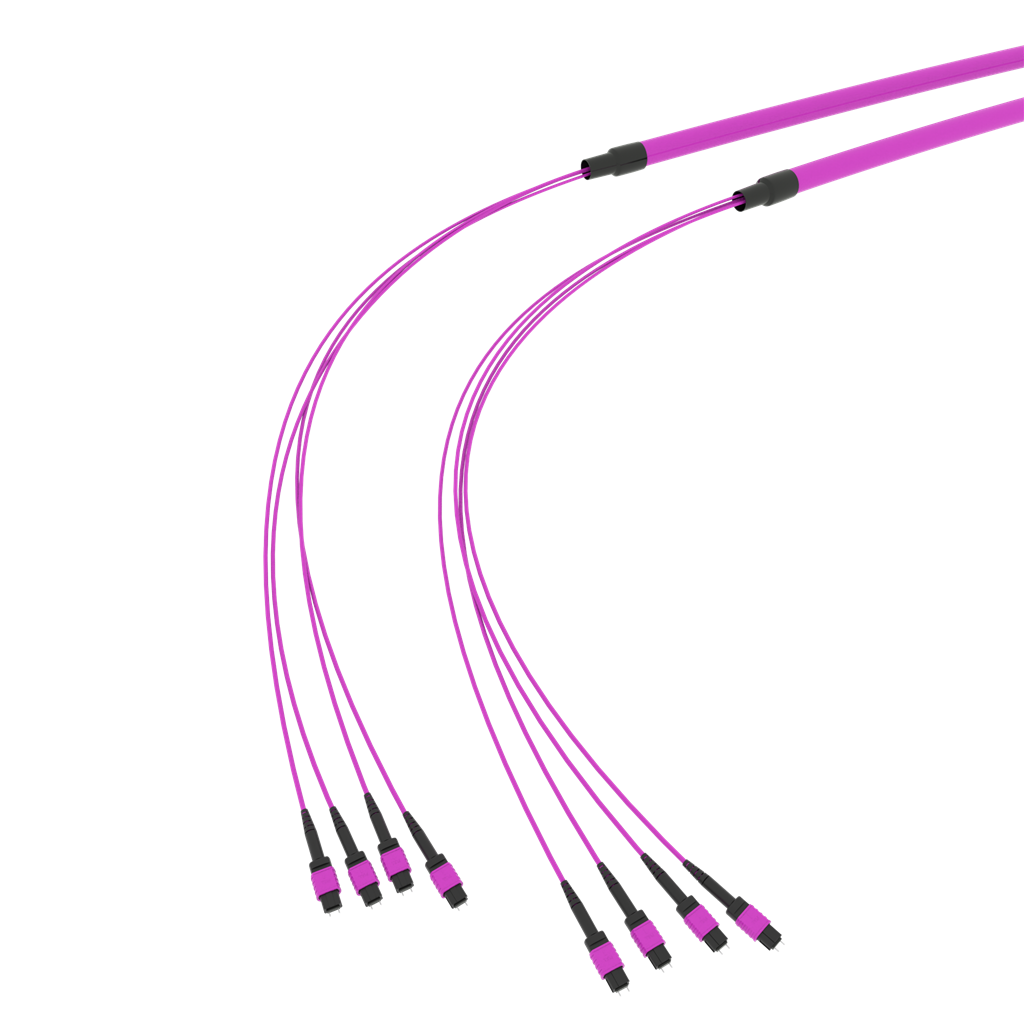 SpiderLINE MTP EasyCONNECT