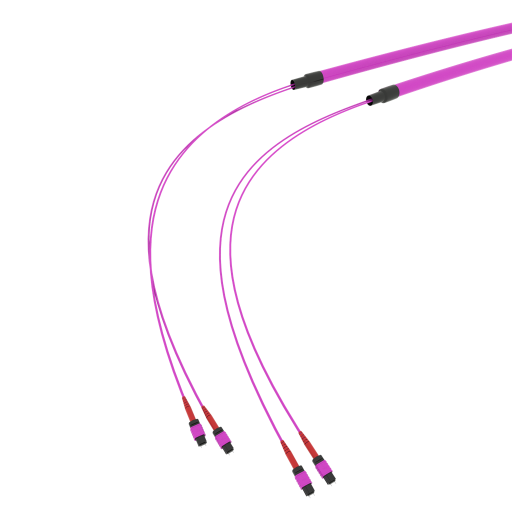 SpiderLINE MTP EasyCONNECT