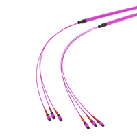 SpiderLINE MTP EasyCONNECT