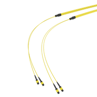 SpiderLINE MTP EasyCONNECT