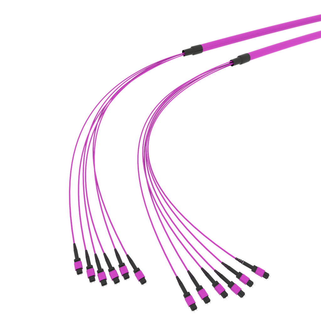 SpiderLINE MTP EasyCONNECT