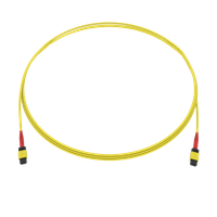 SpiderLINE MTP EasyCONNECT