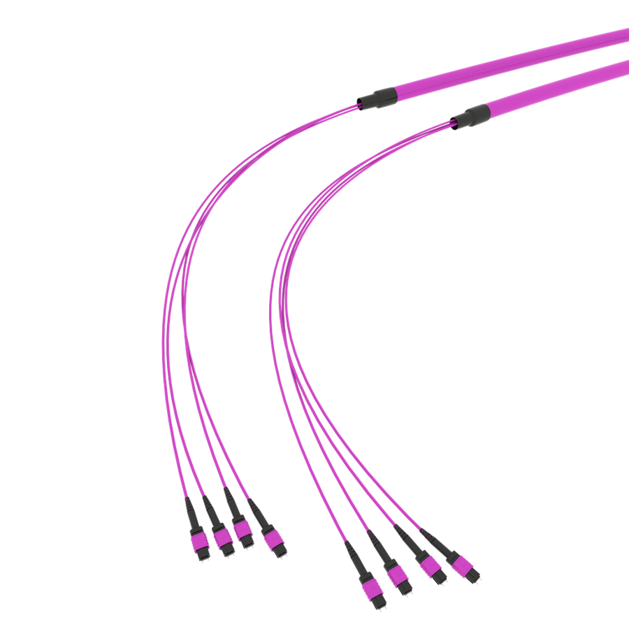 SpiderLINE MTP EasyCONNECT