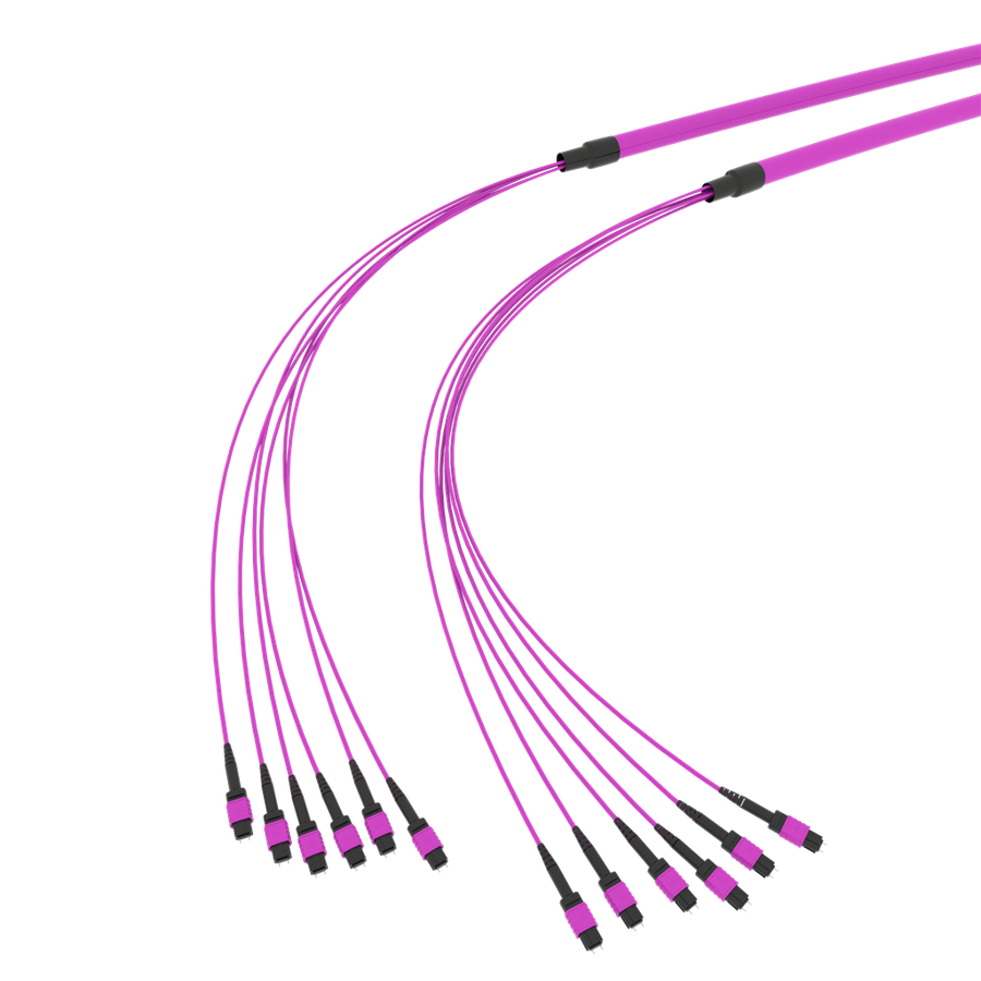 SpiderLINE MTP EasyCONNECT