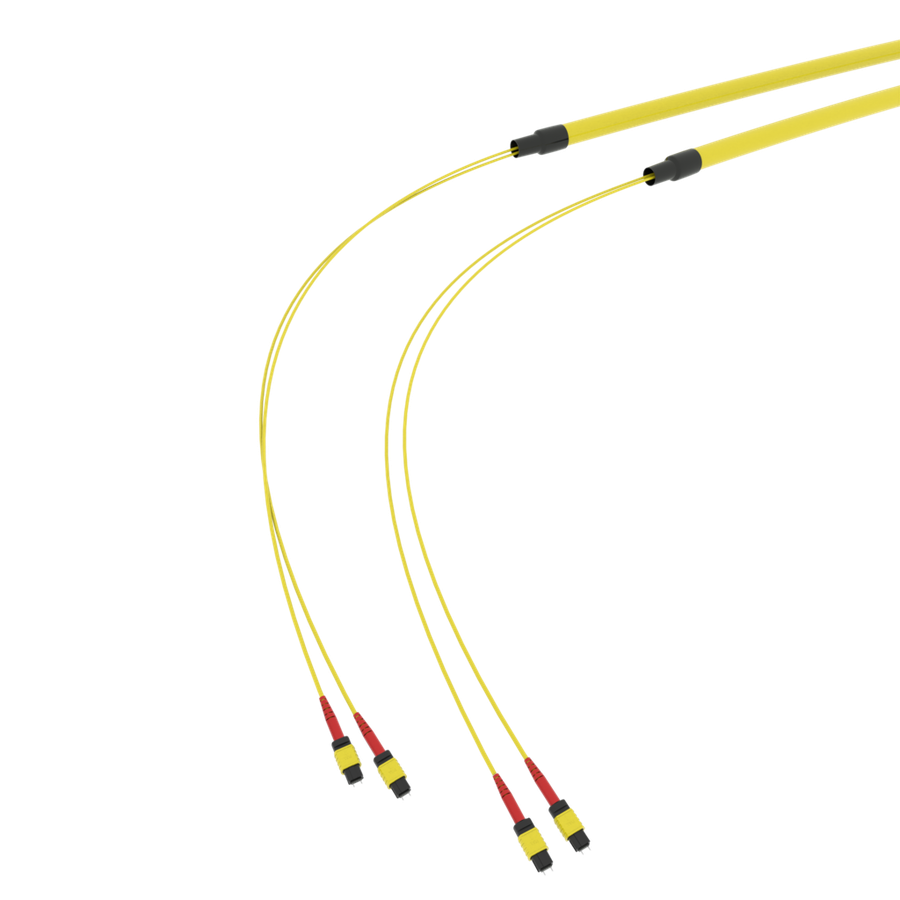 SpiderLINE MTP EasyCONNECT